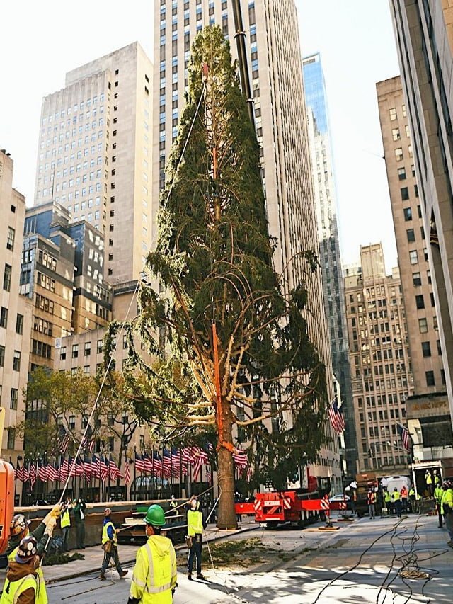 Enjoy Christmas with Rockefeller Center Christmas Tree