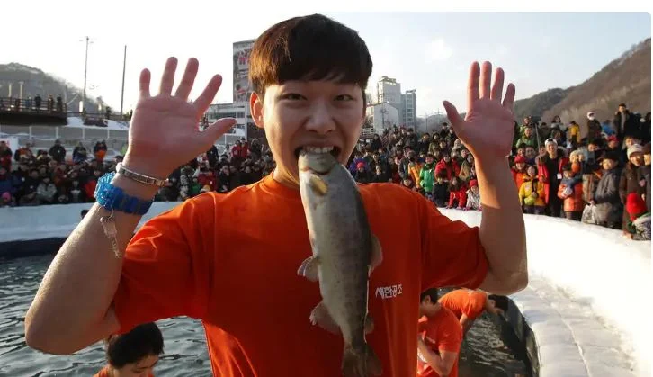 Visit the ice fish festival of Korea and enjoy bare hand fishing competitions.