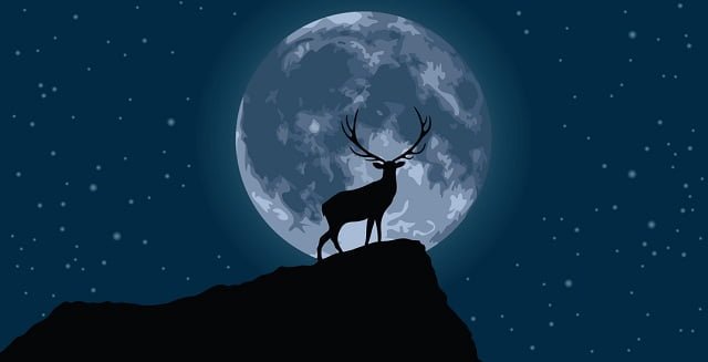 Buck Moon, the first of four supermoons in 2023, will grace the night sky