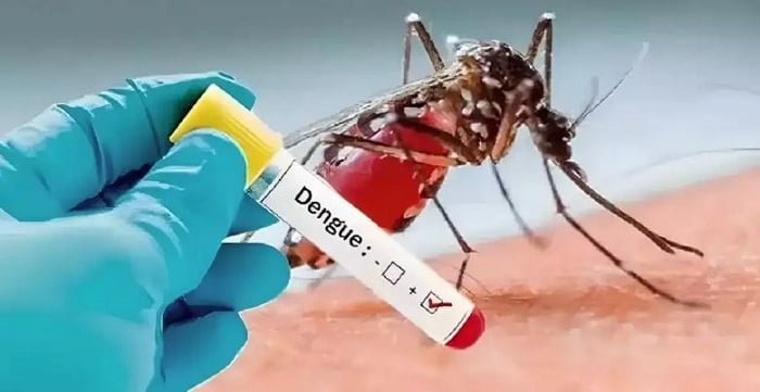 Dengue Cases in Manipur on the rise.