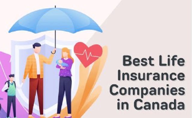 Best Whole Life Insurance Companies in Canada
