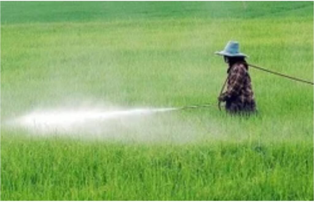 Screenshot 2025 09 01 13 42 05 949 edit com.google.android.googlequicksearchbox