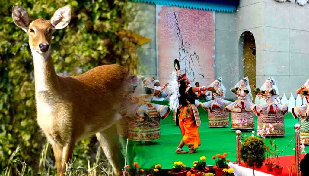 MAnipur sangai festival