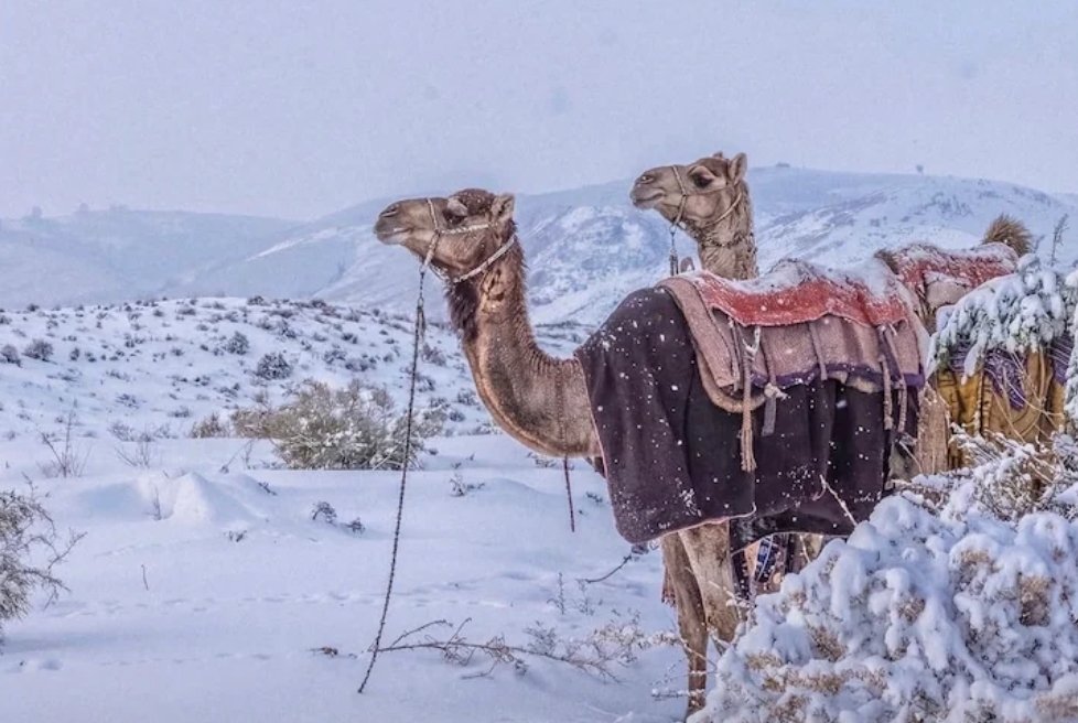 Screenshot 2025 12 22 20 13 27 328 edit com.android.chrome