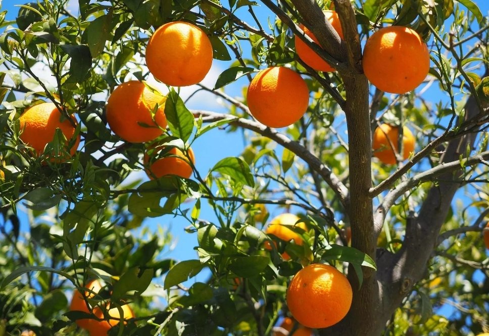 Screenshot 2026 01 08 15 31 06 963 edit com.twitter.android