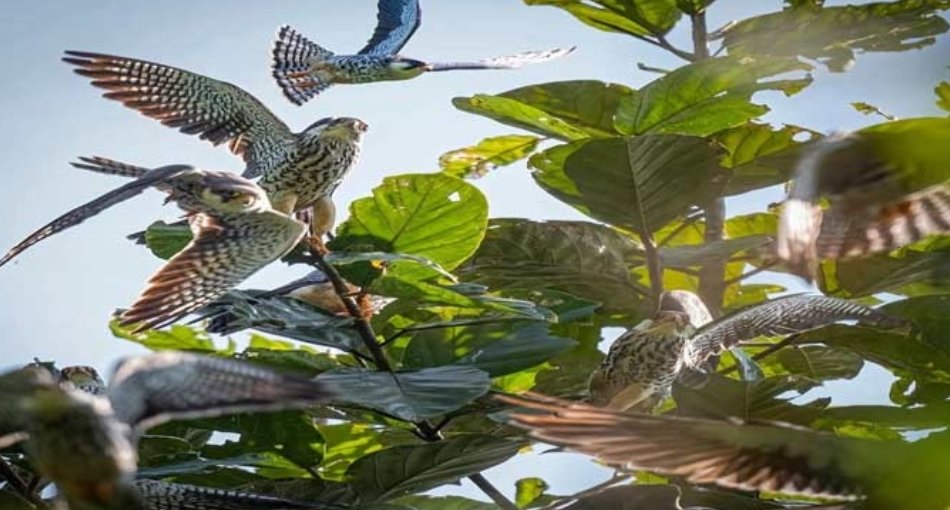 Screenshot 2026 01 08 15 43 17 370 edit com.twitter.android