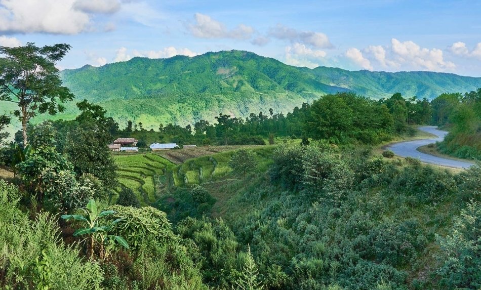 Why Kuki CSOs Angry Over ZUF's Destruction of Poppy Farms in Manipur? 6 Screenshot 2026 01 08 15 43 53 618 edit com.twitter.android