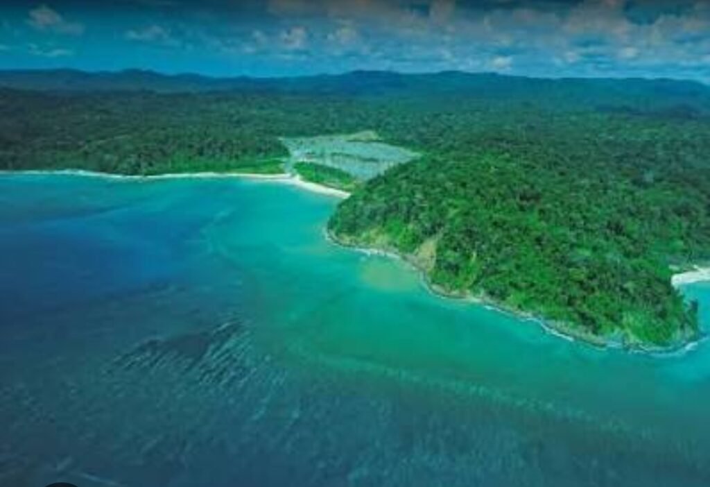 Snatching Ancestral Lands for the Great Nicobar Port Is Illegal 2 Screenshot 2026 01 23 23 29 58 025 edit com.google.android.googlequicksearchbox