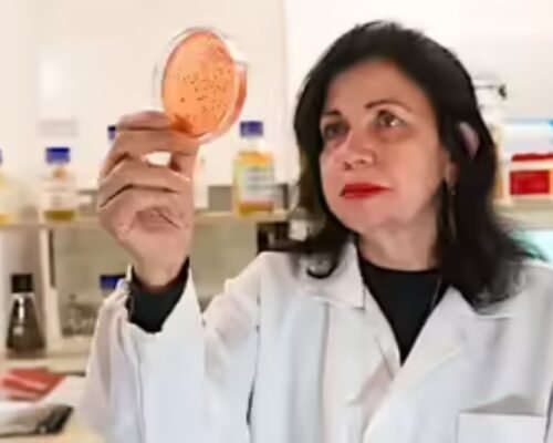 Mariangela Hungria’s Microbial Revolution Wins 2025 World Food Prize and Saves Billions
